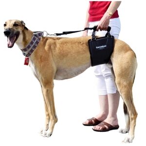 Gingerlead Dog Support & Rehabilitation Harness (Tall Male)